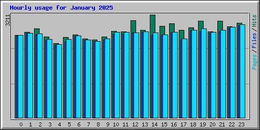 Hourly usage for January 2025