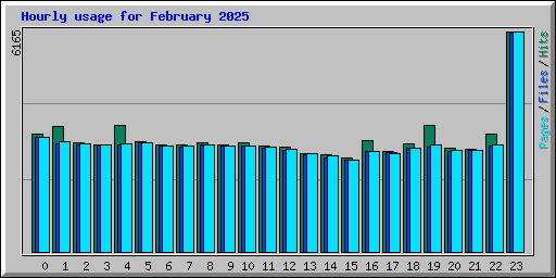 Hourly usage for February 2025