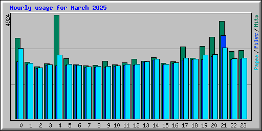 Hourly usage for March 2025