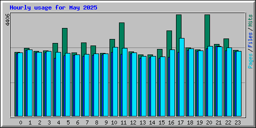 Hourly usage for May 2025