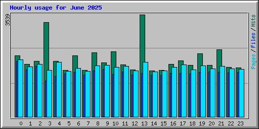Hourly usage for June 2025