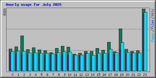Hourly usage for July 2025