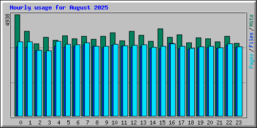 Hourly usage for August 2025